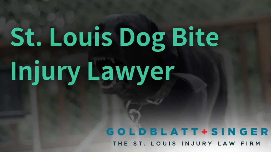 St. Louis Dog Bite Injury Lawyer image